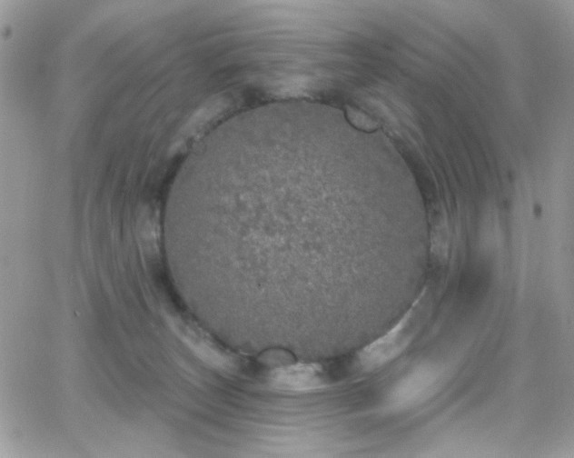 X0000066970179200603271217