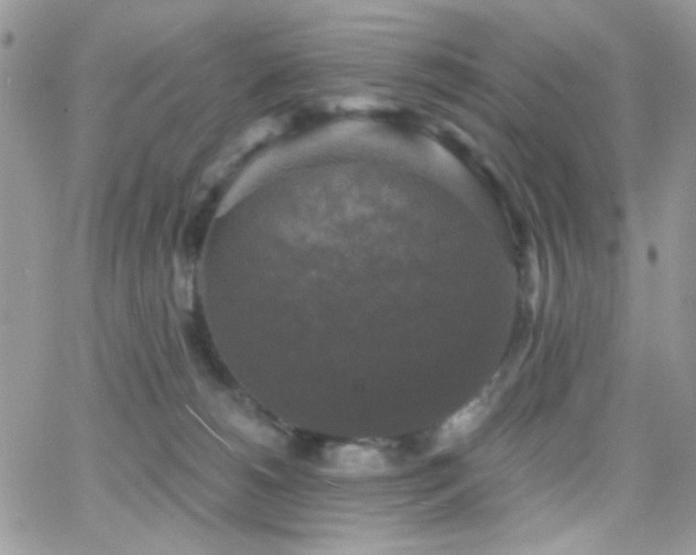 X0000066970180200603271217