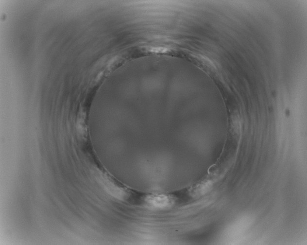 X0000066970181200603271217