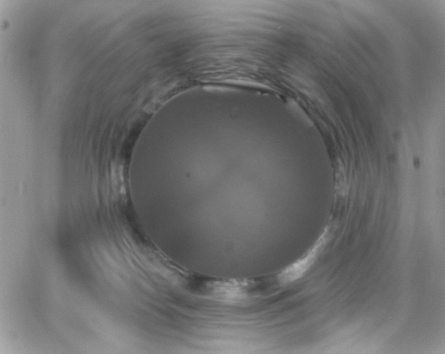 X0000066970182200603271217