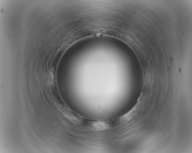 X0000066970183200603271217