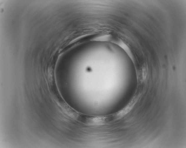 X0000066970184200603271217