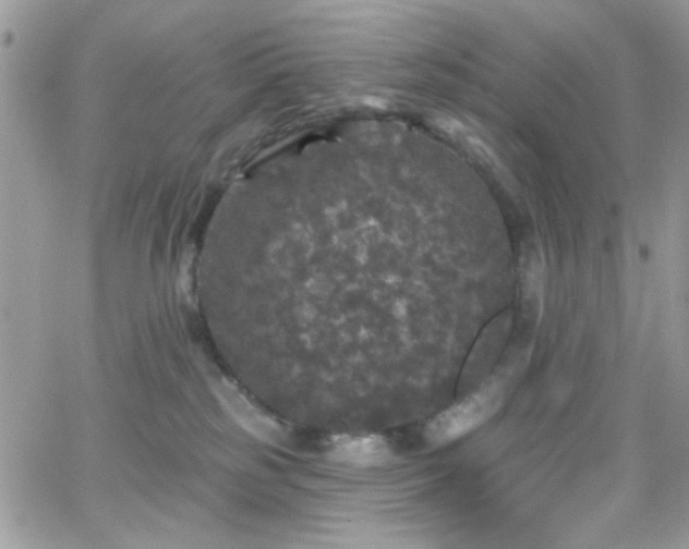 X0000066970185200603271217