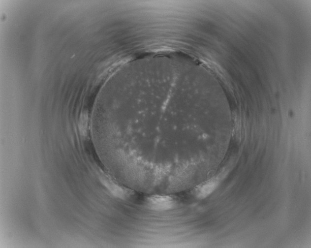 X0000066970189200603271217