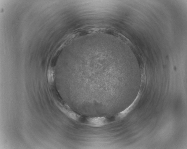 X0000066970191200603271217