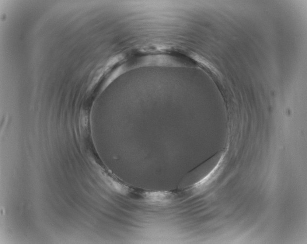 X0000066970192200603271217