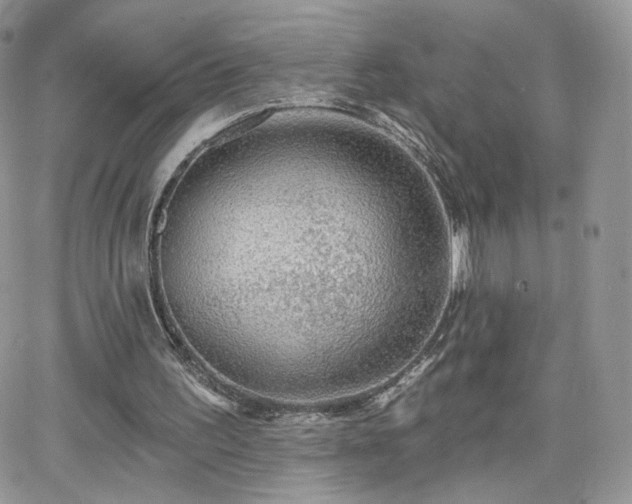 X0000066970195200603271217