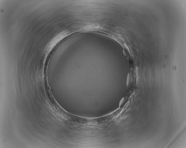 X0000066970196200603271217