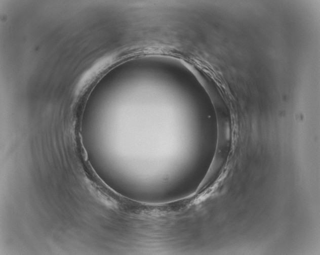 X0000066970197200603271217