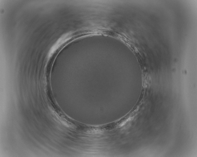 X0000066970198200603271217