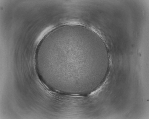 X0000066970199200603271217