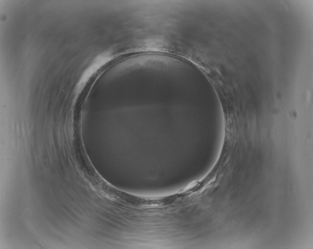 X0000066970200200603271217