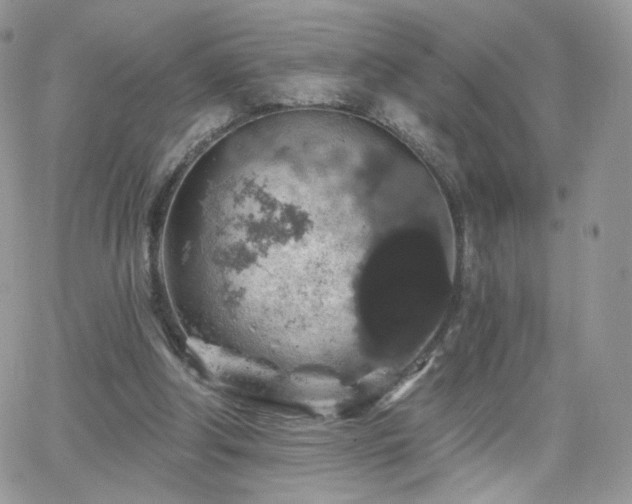 X0000066970202200603271216