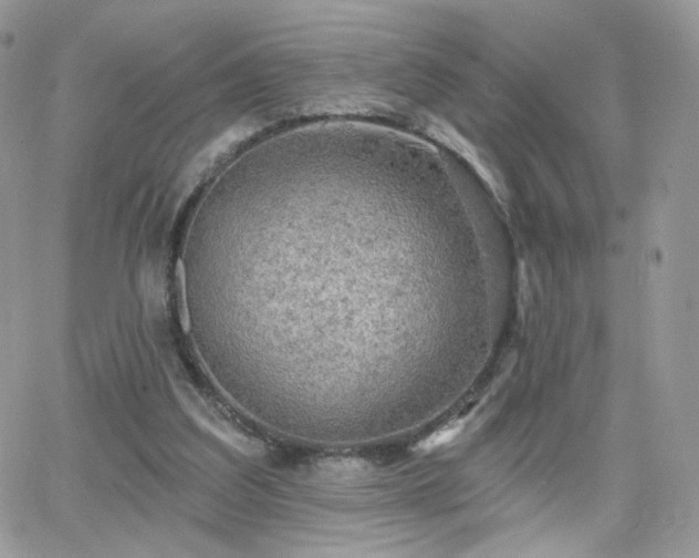 X0000066970203200603271216