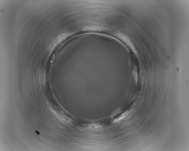 X0000066970204200603271216