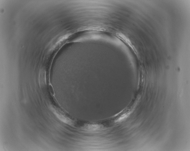 X0000066970205200603271216