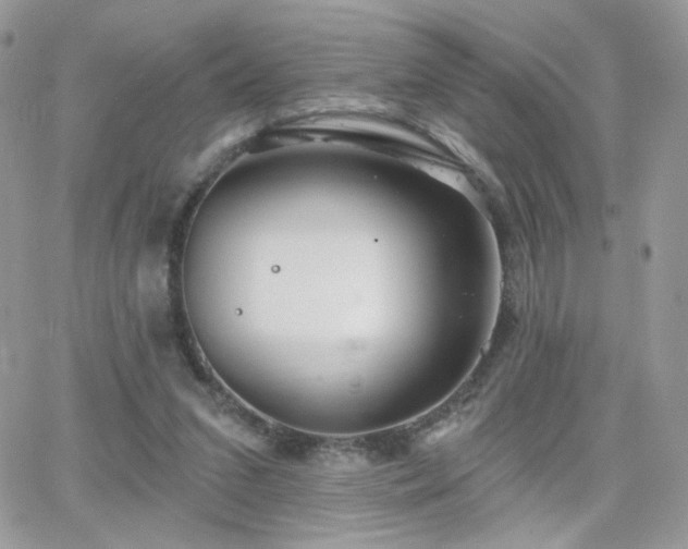 X0000066970207200603271216