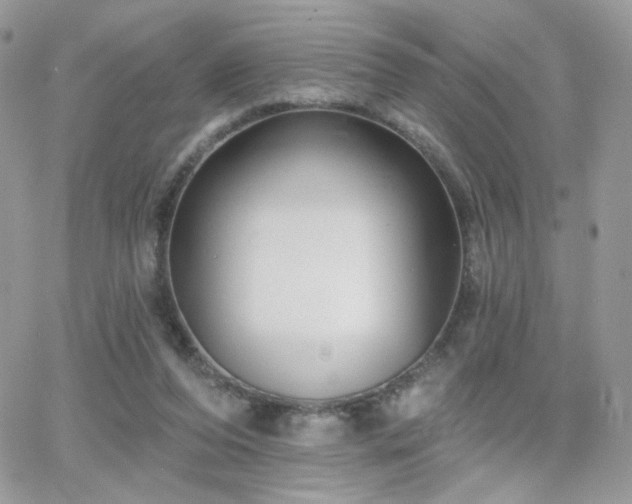 X0000066970208200603271216