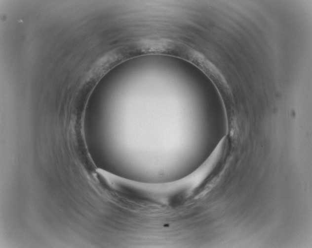 X0000066970209200603271216