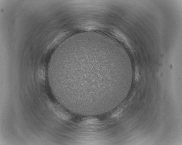 X0000066970210200603271216