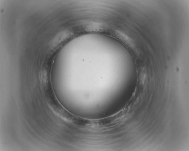 X0000066970211200603271216