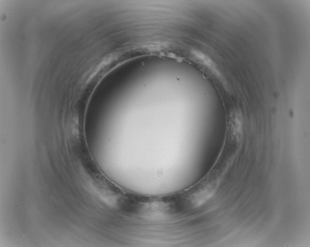 X0000066970212200603271216