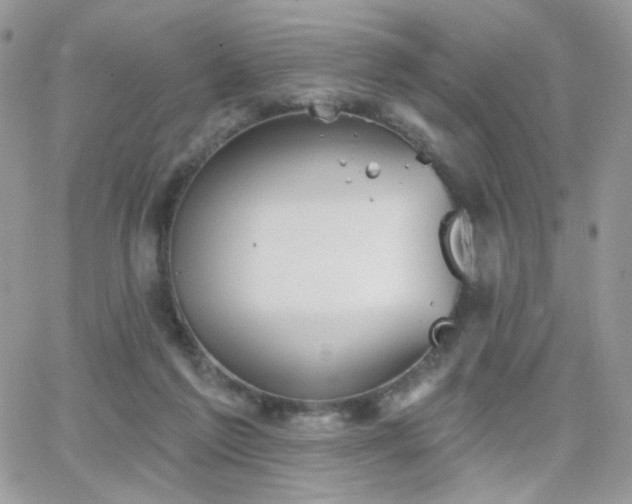 X0000066970213200603271216