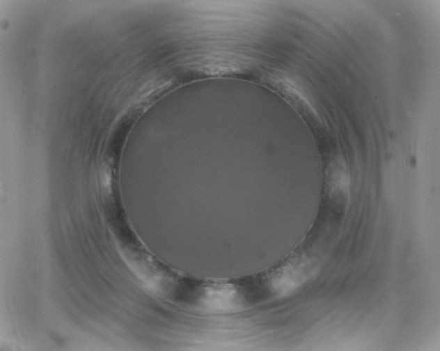 X0000066970214200603271216