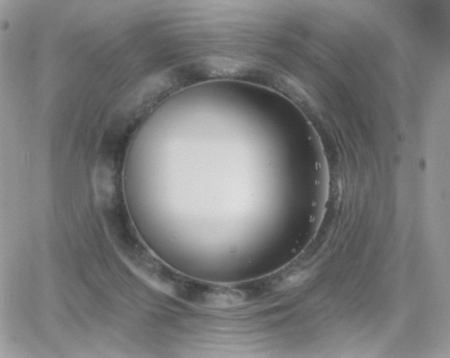 X0000066970215200603271216