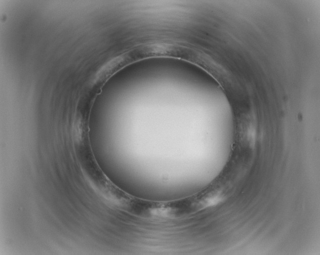 X0000066970216200603271216