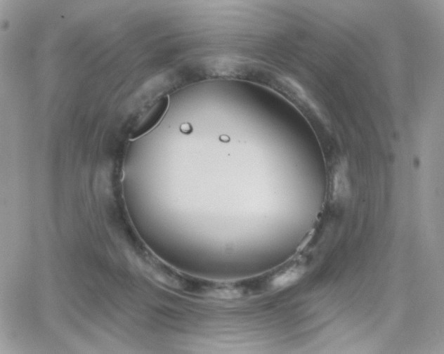 X0000066970217200603271216