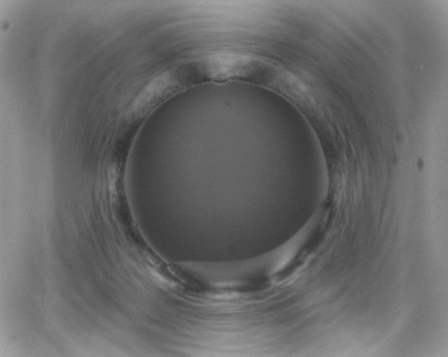 X0000066970219200603271216