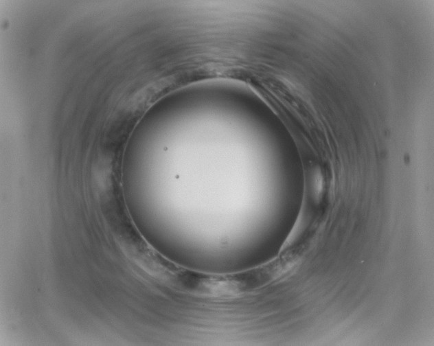 X0000066970221200603271216