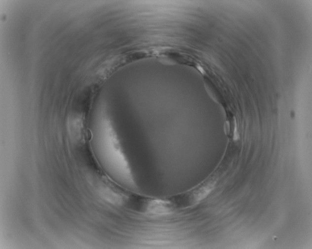 X0000066970222200603271216