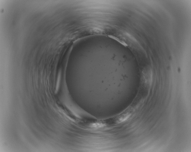 X0000066970223200603271216