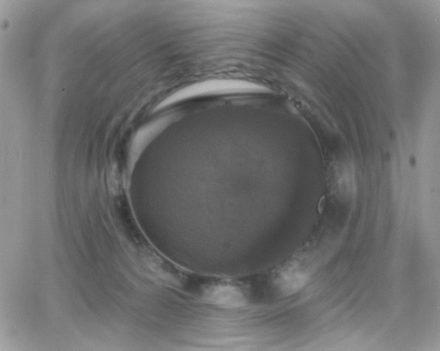 X0000066970224200603271216