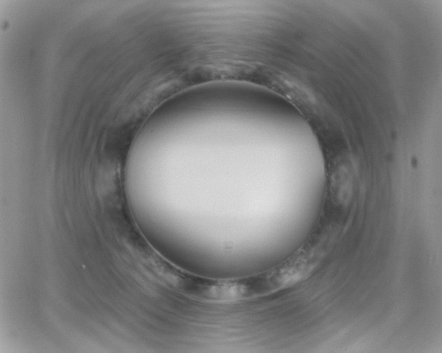 X0000066970225200603271216