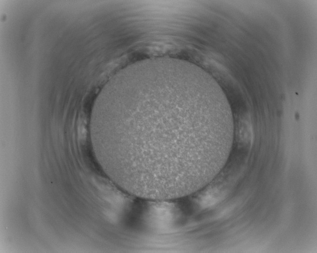 X0000066970226200603271216