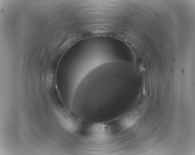 X0000066970227200603271216