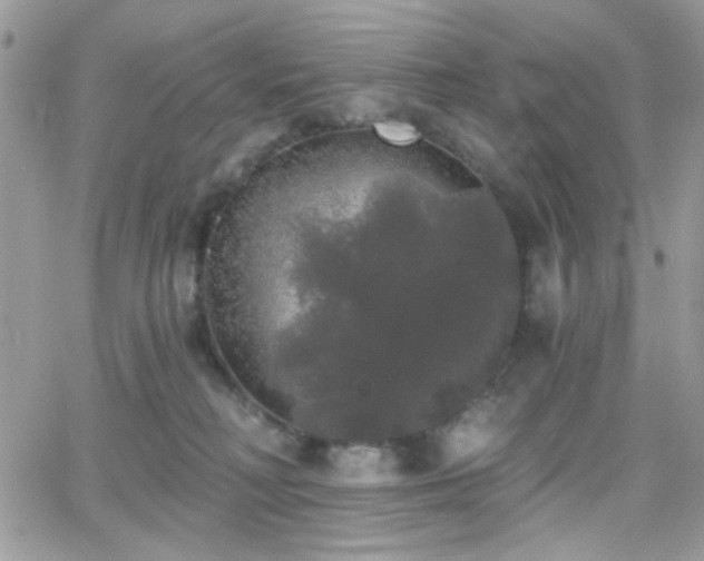 X0000066970230200603271216