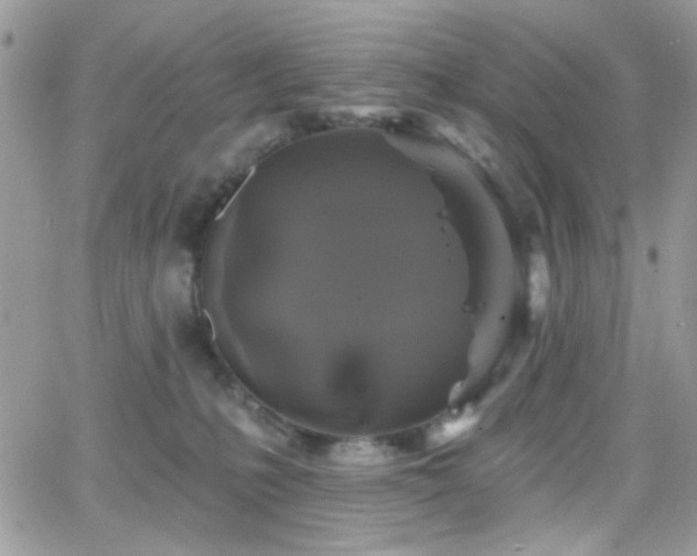 X0000066970231200603271216