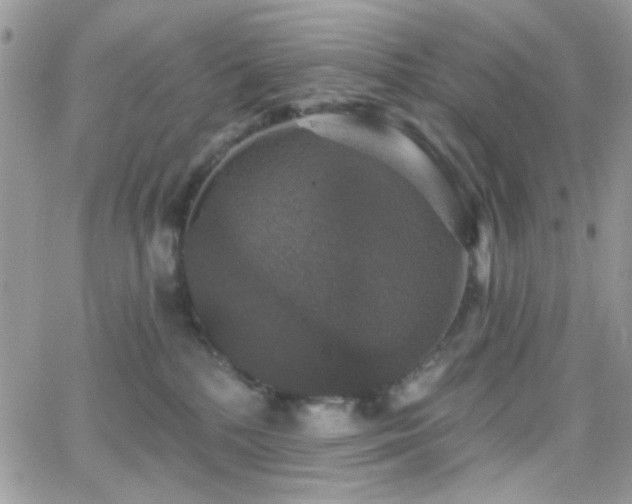 X0000066970232200603271216