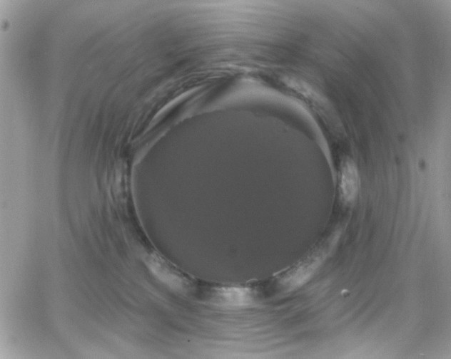 X0000066970233200603271216