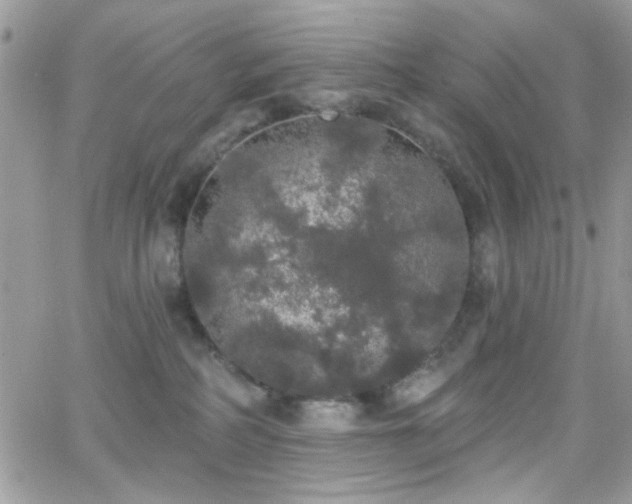 X0000066970234200603271216