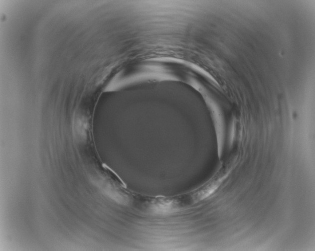 X0000066970235200603271216