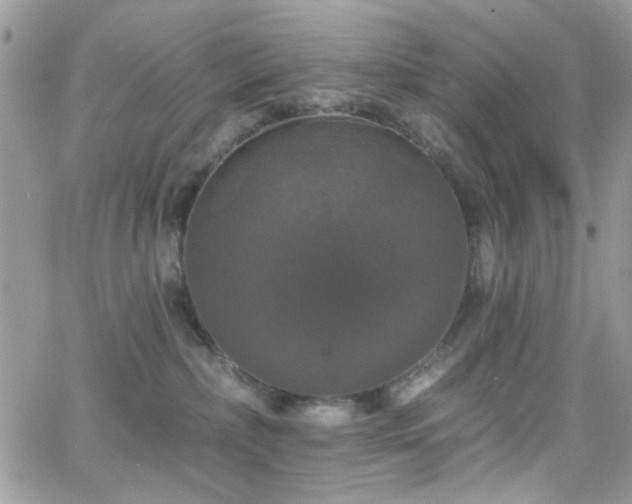 X0000066970236200603271216