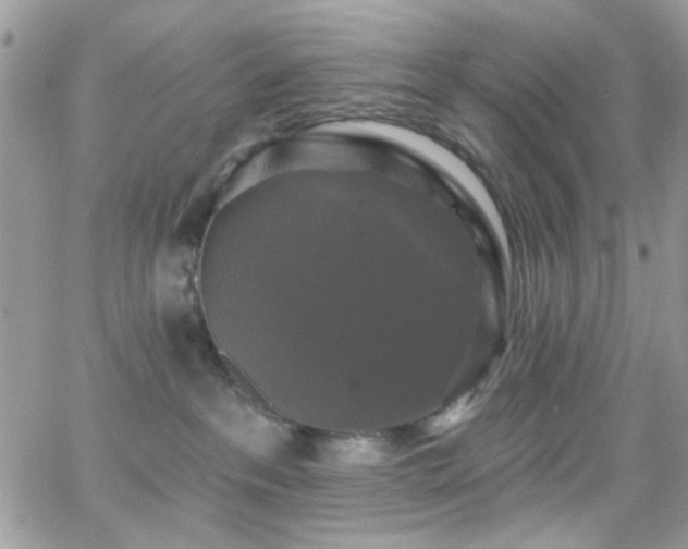 X0000066970237200603271216