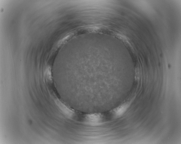 X0000066970238200603271216