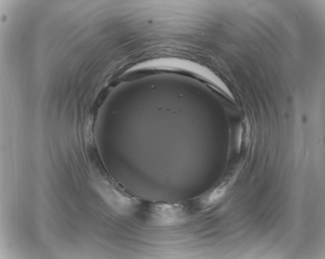 X0000066970239200603271216