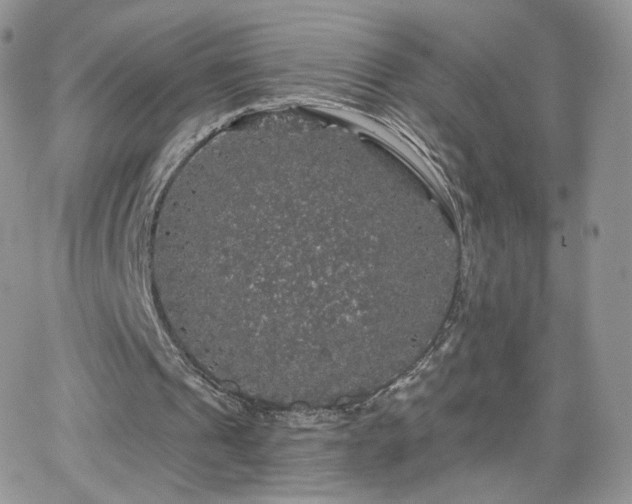 X0000066970241200603271215